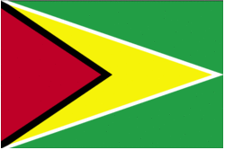 Guyanese flag