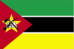 Mozambican flag