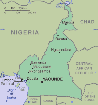 Cameroonian Map